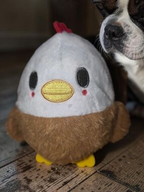 Barkbox NWT, Hatch Me If You Can ( DGT10)